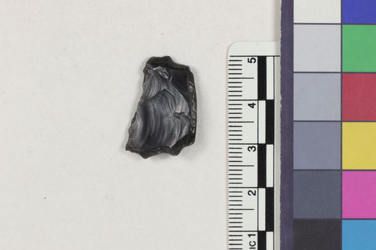 Hearst Museum object titled Flake, accession number 16-14397, described as Projectile point fragment; obsidian; triangular; weight: 1.85 grams; length: 1.55 cm; width: 2.43 cm; depth: 0.49 cm.