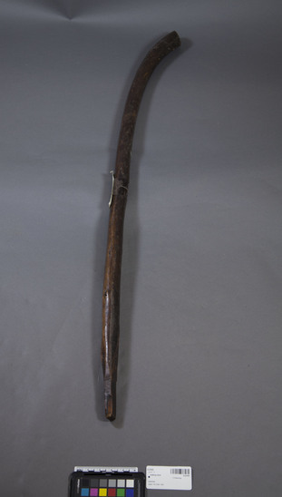 Hearst Museum object 1 of 2 titled Walking stick, accession number 9-23103, described as A walking stick used by person in conjunction with carrying frame to support heavy loads on the back.