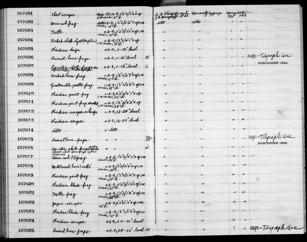 Documentation associated with Hearst Museum object titled Tibiotarsus frag, r, accession number 1-167615.8, no description available.