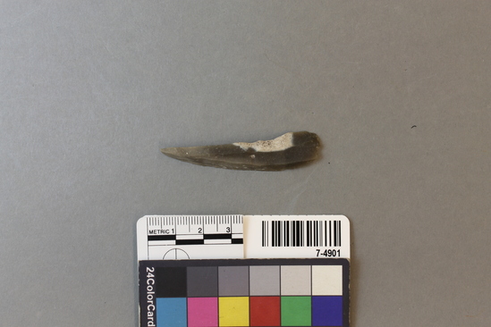 Hearst Museum object titled Bladelet, accession number 7-4901, described as Mesolithic micro-blade; grey flint