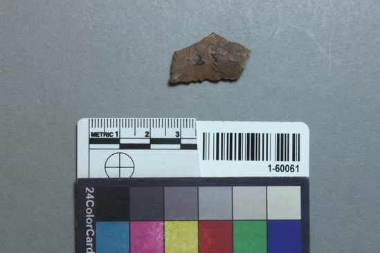 Hearst Museum object titled Projectile point fragment, accession number 1-60061, described as Arrowpoint fragment