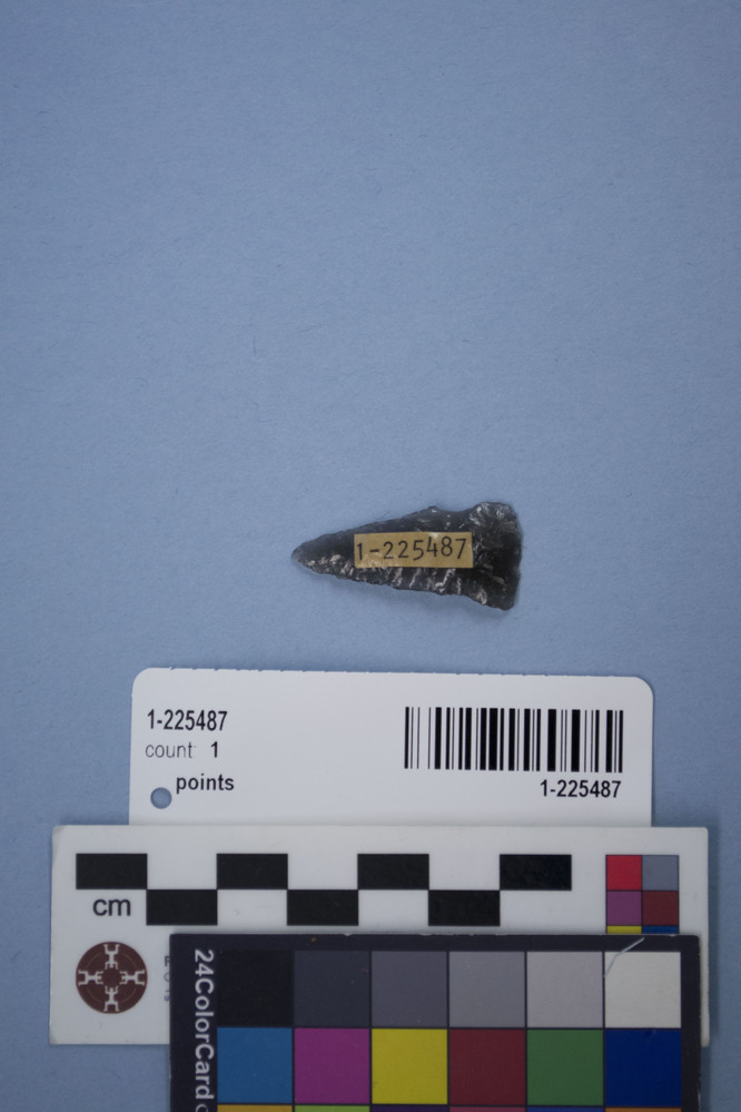 Hearst Museum object 2 of 2 titled Points, accession number 1-225487, described as Obsidian, projectile points.