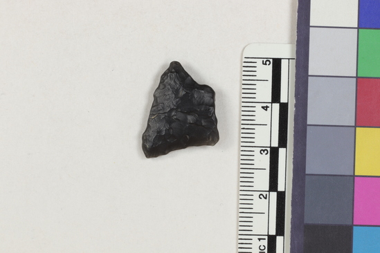 Hearst Museum object titled Flake fragment, accession number 16-14375, described as Projectile point fragment; obsidian; triangular; weight: 1.85 grams; length: 2.05 cm; width: 1.76 cm; depth: 0.52 cm.