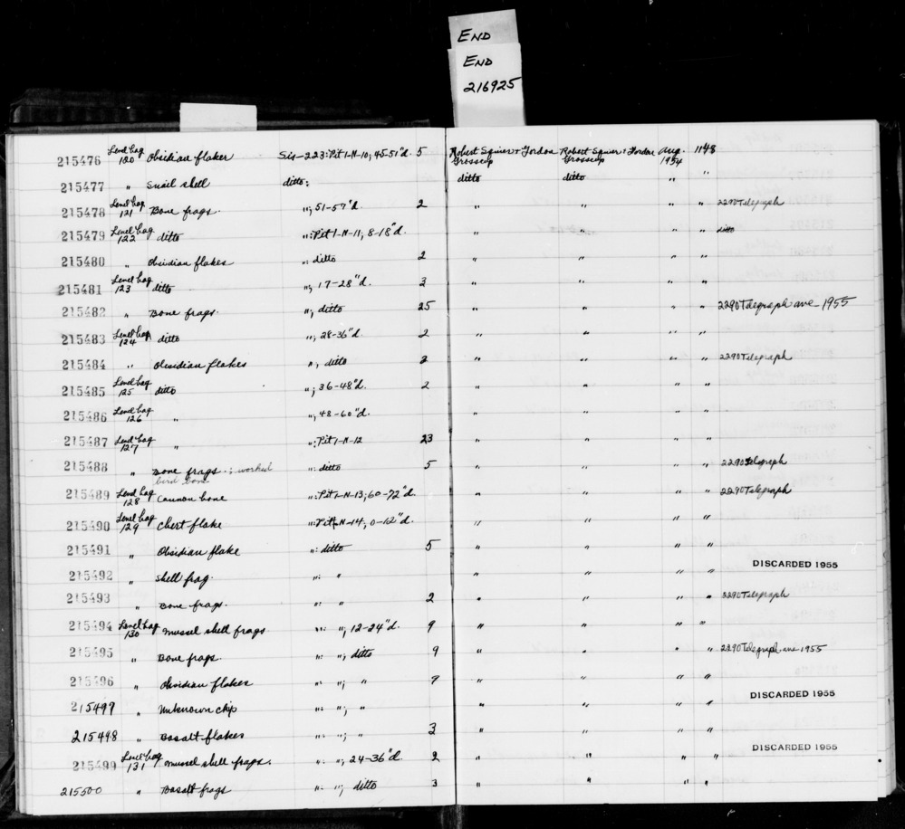 Documentation associated with Hearst Museum object titled Shell fragment, accession number 1-215492, described as Shell fragment