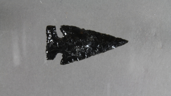 Hearst Museum object titled Point, accession number 1-19785, described as Obsidian