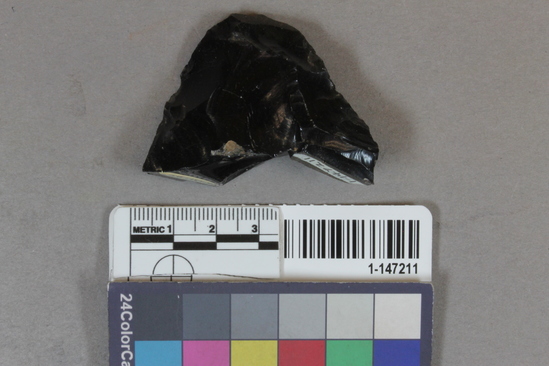 Hearst Museum object titled Blade fragment, accession number 1-147211, described as obsidian blade tip