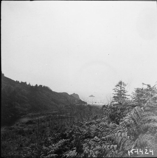 Hearst Museum object titled Black-and-white negative, accession number 15-1424, described as A'men Lake (Wilson Creek, north of Requa) cf 144.