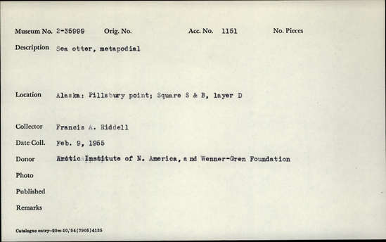 Documentation associated with Hearst Museum object titled Mammal bone, accession number 2-35999, described as Sea otter, metapodial.