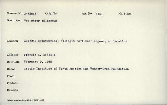 Documentation associated with Hearst Museum object titled Mammal bone, accession number 2-35965, described as Sea otter, calcaneum/calcaneus.