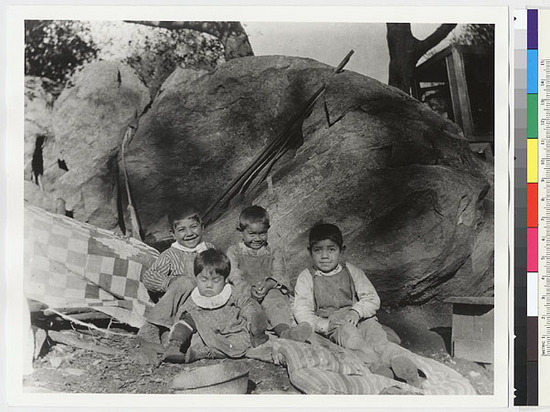 Hearst Museum object titled Black-and-white negative, accession number 15-5928, described as Three sons of Lena Cox; boy in striped shirt is son of Lena's sister, Aggie