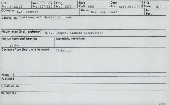 Documentation associated with Hearst Museum object titled Root, accession number 1-12373, described as Called yanks