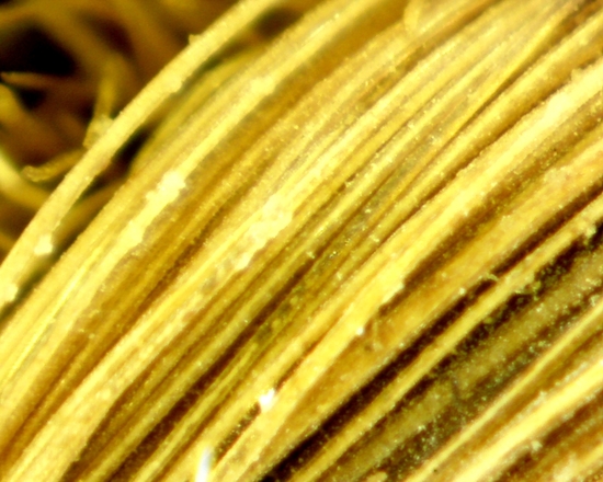 Hearst Museum object 19 of 72 titled Sling, accession number 4-5094, no description available.