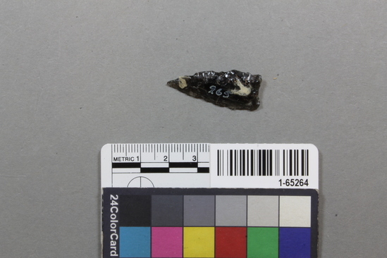 Hearst Museum object titled Point, accession number 1-65264, described as Type NBb: obsidian