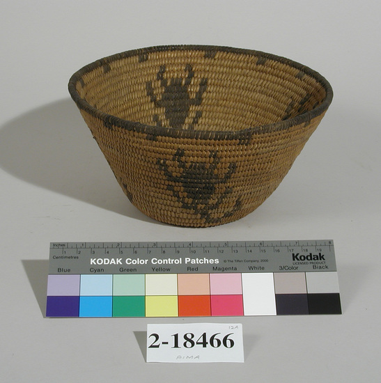 Hearst Museum object titled Basket, accession number 2-18466, described as Coiled, flaring sides. Scorpion design.