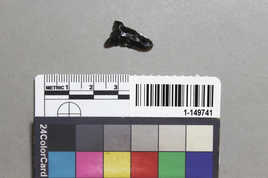 Hearst Museum object titled Point, accession number 1-149741, described as Obsidian projectile, expanding base, narrow triangular body