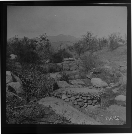 Hearst Museum object titled Black-and-white negative, accession number 15-2490, described as Pigeon snare ambush