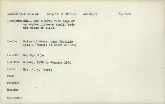 Documentation associated with Hearst Museum object titled Figures, accession number 4-2313b, described as Small red figures from edge of Spondylus pictorum shell, body and wings of birds.