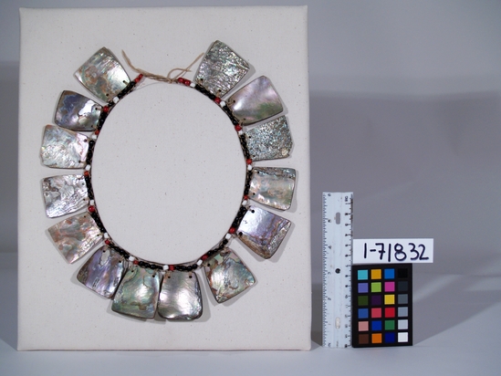 Hearst Museum object 3 of 3 titled Necklace, accession number 1-71832, described as Made of Haliotis ornaments. Strung. 14 keystone shaped abalone shells suspended from row of red, white, and black glass beads.