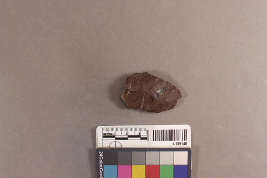 Hearst Museum object titled Flake scraper, accession number 1-189146, described as chert flake scraper?; 4.5 x 3.0cm