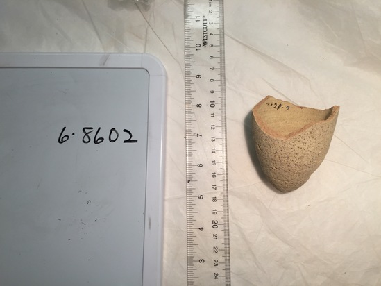 Hearst Museum object titled Beer cup fragment, accession number 6-8602, described as Pottery fragment of deep cup, Greatest diameter 6 cm.