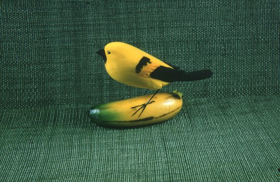 Hearst Museum object titled Color slide, accession number 25-20086, described as Bird on banana
