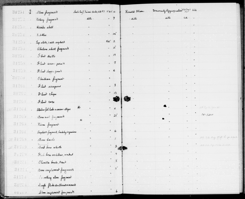 Documentation associated with Hearst Museum object titled Shell fragment, accession number 1-31266, described as Pismo, tivela stultorum.