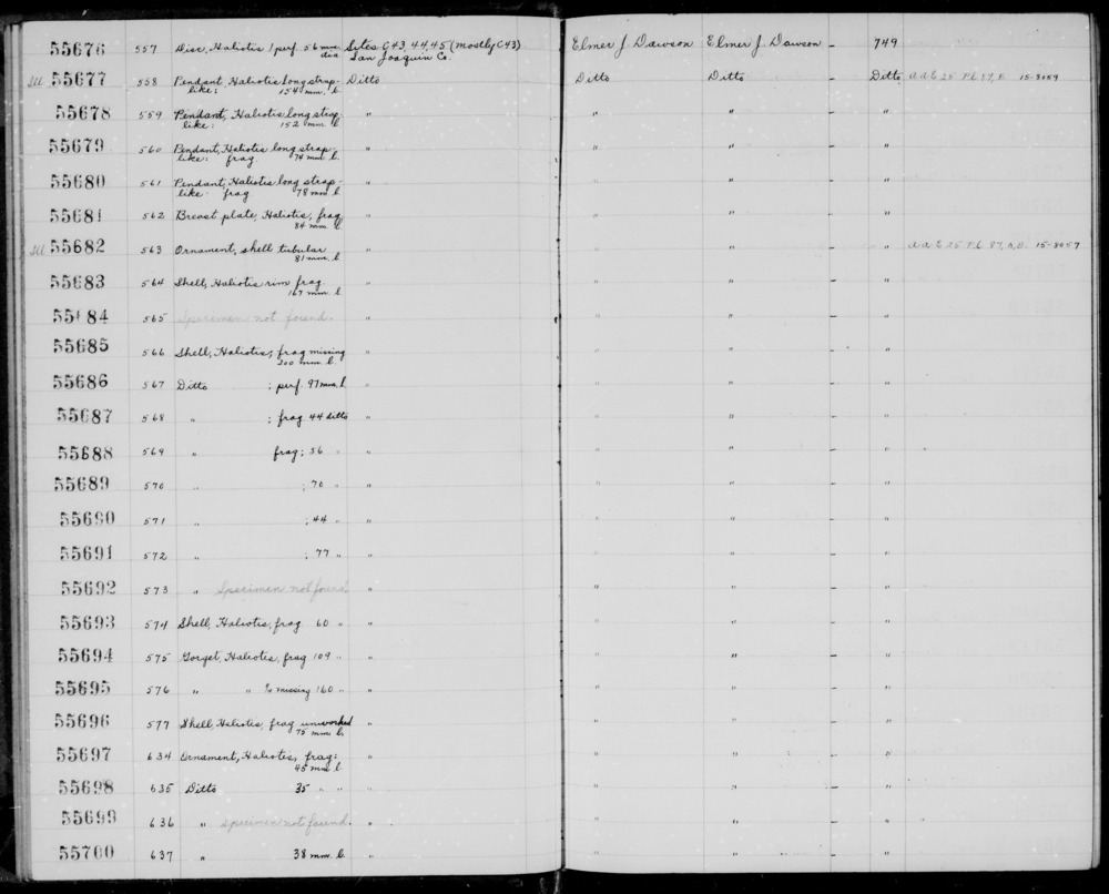 Documentation associated with Hearst Museum object titled Shell fragment, accession number 1-55696, described as Shell, Haliotis, fragment, unworked; 75 mm long