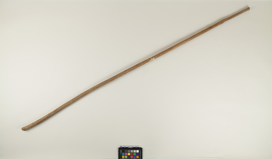 Hearst Museum object titled Stick, accession number 6-14093, described as Stick, smoothed; length 53 inches.