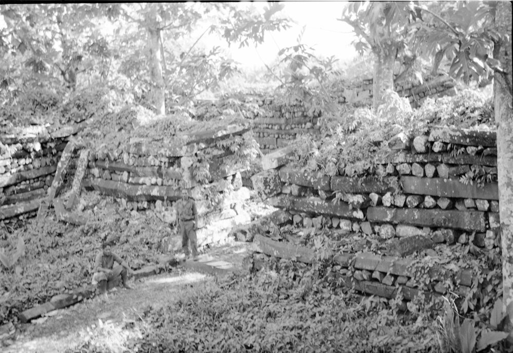 Hearst Museum object titled Black-and-white negative, accession number 15-31438, described as Black-and-white negative, Ponape, Ruins, 1946