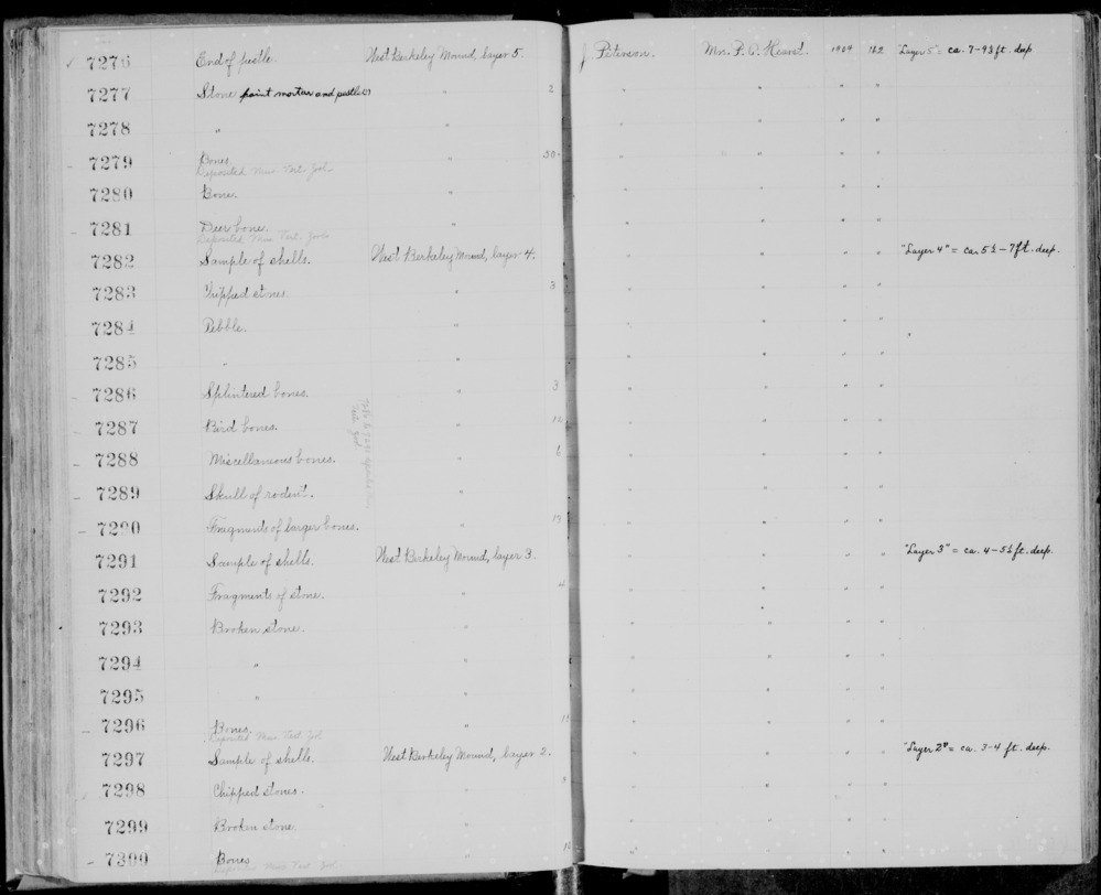 Documentation associated with Hearst Museum object titled Bird bone, accession number 1-7287.4, described as Seagull (Larus) bone.