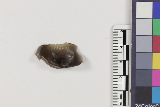 Hearst Museum object titled Flake, accession number 16-14434, described as Projectile point fragment; obsidian; triangular; weight: 2.74 grams; length: 3.22 cm; width: 1.8 cm; depth: 0.8 cm.