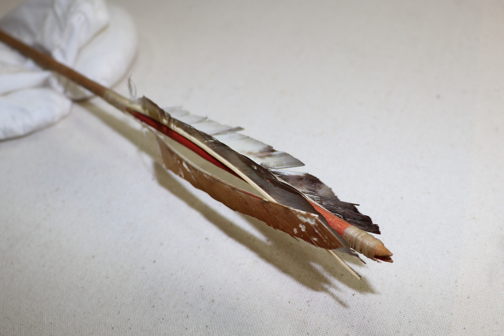 Hearst Museum object titled Arrow, accession number 1-4285a, no description available.