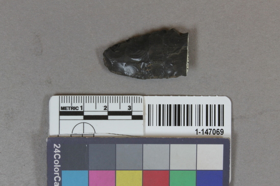 Hearst Museum object titled Blade fragment, accession number 1-147069, described as grey obsidian blade fragment