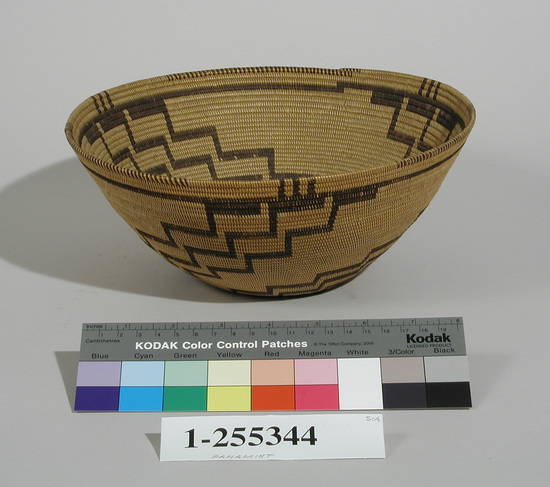 Hearst Museum object titled Basket, accession number 1-255344, described as Coiled, stepped designs from below rim to bottom in brown material on natural ground; rim ticks; flat bottom, slightly conical shape. Materials: split willow shoots, Scirpus root colored by being buried in mud. Traditional shape and design.