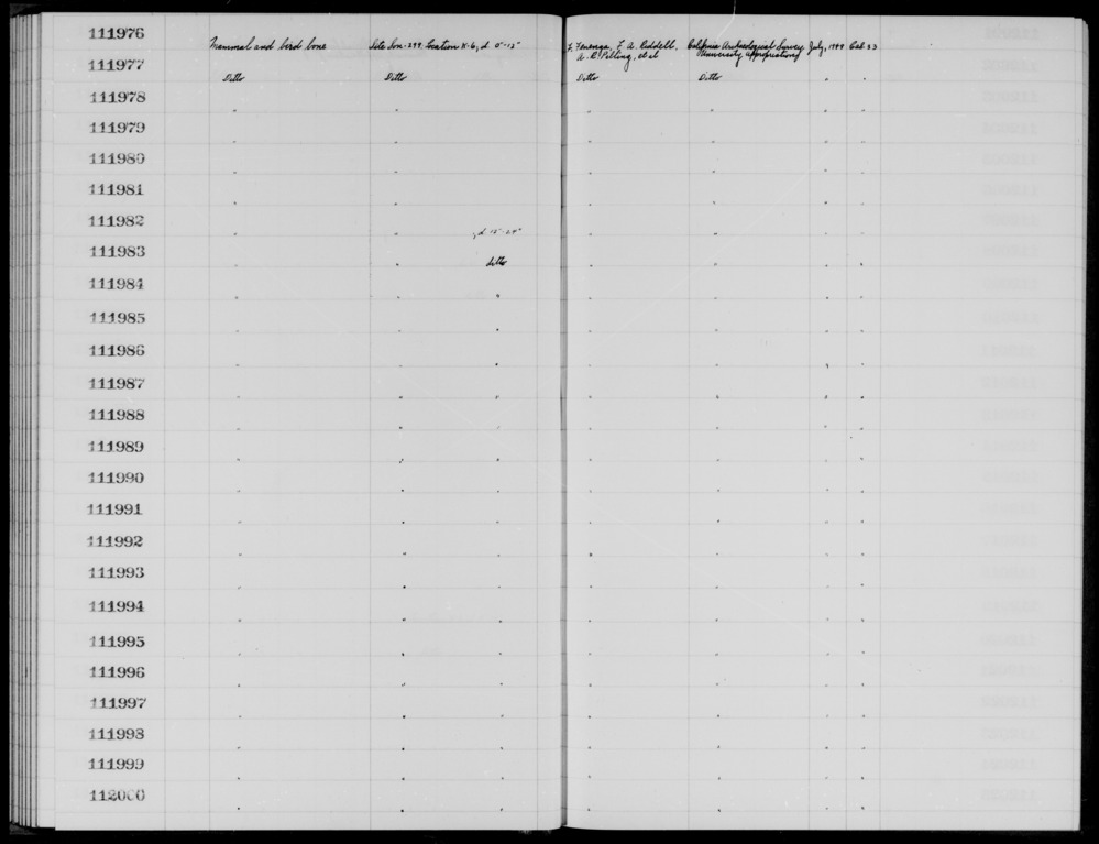 Documentation associated with Hearst Museum object titled Faunal remains, accession number 1-111998, described as Mammal and bird.