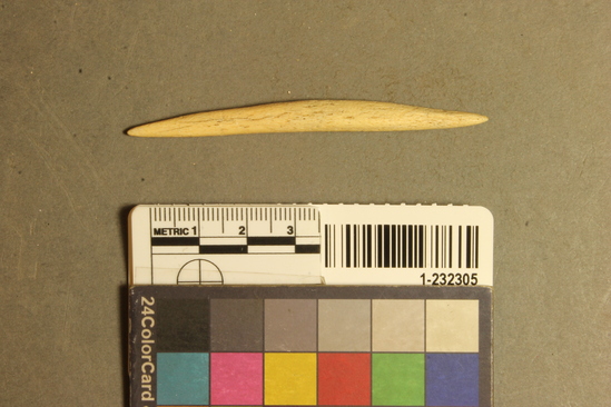 Hearst Museum object titled Fishhook, accession number 1-232305, described as Bone point for composite fish hook