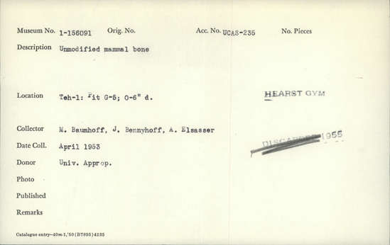 Documentation associated with Hearst Museum object titled Faunal remains, accession number 1-156091, described as Unmodified, mammal.