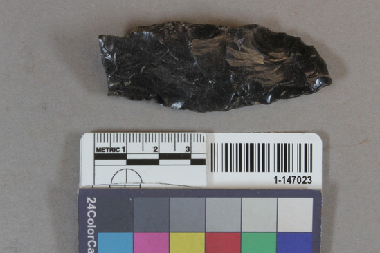 Hearst Museum object titled Blade, accession number 1-147023, described as obsidian blade