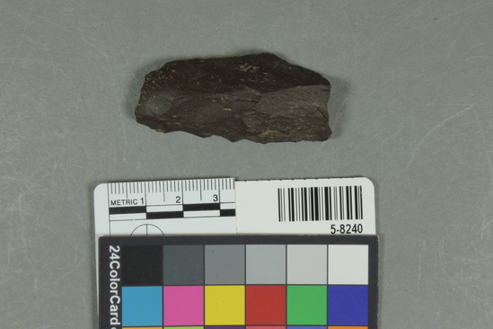 Hearst Museum object titled Flake, accession number 5-8240, described as Bifacial flake; rounded high back; length 5.3 cm