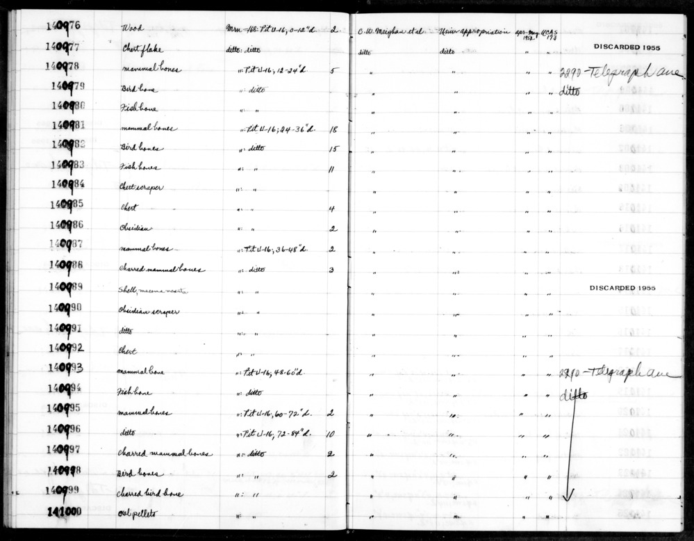 Documentation associated with Hearst Museum object titled Wood, accession number 1-140976, described as wood.