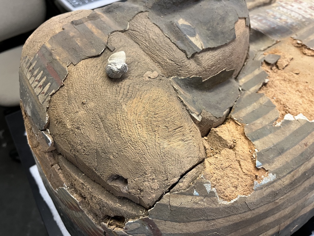 Hearst Museum object 35 of 167 titled Coffin, accession number 6-19912, described as Wooden anthropoid coffin. Inscription running down center of lid. Determined by Kea Johnston to probably be the outer coffin of Iwefaa (6-19928, 12-11039). According to Kea Johnston, "This coffin belonged to a man named Iwefaa, whose name is inserted in the middle of the spells written in the two columns on the front. This coffin is likely the outer coffin for PAHMA 6-19928 based on the similarity of the owner's name, unusual costume, and the paleography of the inscription. Both coffins were purchased on the antiquities market by George Reisner for Phoebe A Hearst. However, stylistically, they are very similar to a set of coffins known to have come from the site of Akhmim, which was excavated in the 1880s by Gaston Maspero, and which has heavily looted for the antiquities market during this decade." "The pectoral vignette between the text and the collar shows the deceased standing before squatting baboon and is the source of our logo. The hieroglyph for 'sky' is above their heads, and the side borders are formed by a pyramid and the symbol for the West.