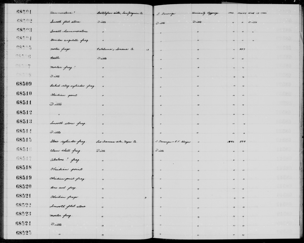 Documentation associated with Hearst Museum object titled Shell fragment, accession number 1-68516, described as Clam. "Saxidomus nutalli" added in pen.