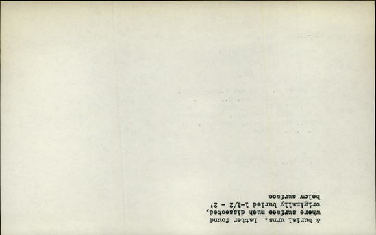 Documentation associated with Hearst Museum object titled Shell, accession number 16-2880, described as Marine univalve shells