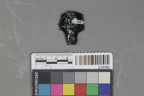 Hearst Museum object titled Point fragment, accession number 2-31702, described as Obsidian.