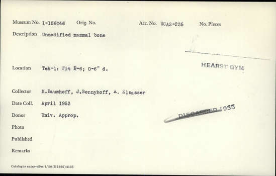 Documentation associated with Hearst Museum object titled Faunal remains, accession number 1-156046, described as Unmodified, mammal.