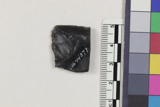 Hearst Museum object 2 of 2 titled Flake fragment, accession number 16-14377, described as Projectile point fragment; obsidian; triangular; weight: 3.96 grams; length: 2.14 cm; width: 2.5 cm; depth: 0.49 cm.