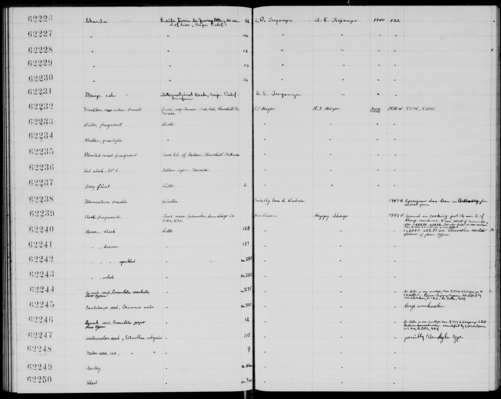 Documentation associated with Hearst Museum object titled Bean, accession number 1-62241, described as Bean sample, brown.  1-62240-62243 are Phaseolus acutifolius of four types.  Found in cooking pot in cave. 1 jar