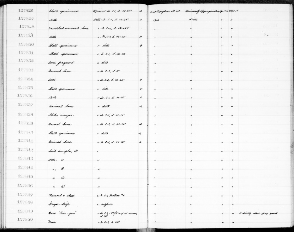 Documentation associated with Hearst Museum object titled Faunal remains, accession number 1-127833, described as 1 bird bone fragment. Notice: Image restricted due to its potentially sensitive nature. Contact Museum to request access.