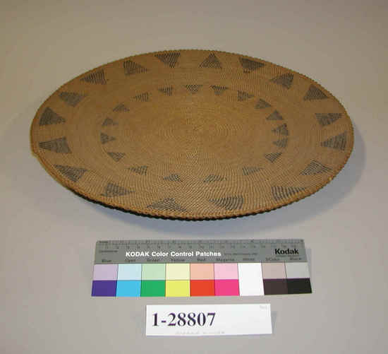 Hearst Museum object 1 of 3 titled Tray, accession number 1-28807, described as Basketry plaque, coiled with interlocking stitches on grass bundle foundation.  Decoration: two encircling bands of triangles in dark brown material (grass and brackenfern root). Basket has insect holes.