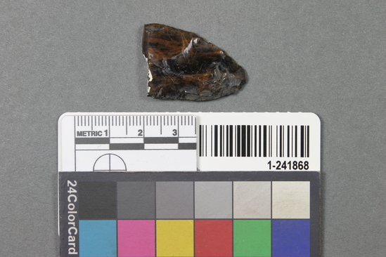 Hearst Museum object titled Blade fragment, accession number 1-241868, described as Obsidian.